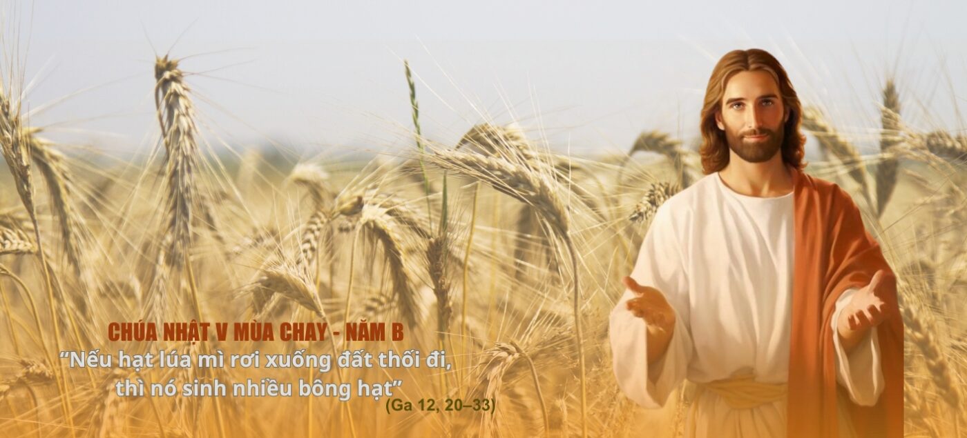 Mơ Thấy Thóc Lúa Đầy Nhà: Giải Mã Điềm Báo Tài Lộc và Thịnh Vượng
